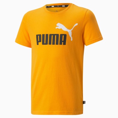 Camiseta Puma Essential +2 Col Logo 586985 39