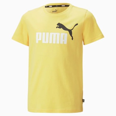 Camiseta Puma Essential + 2 Logo 586985 45