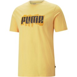 Camiseta Puma Graphics Wordin 674475 40