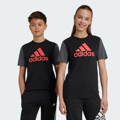 Camiseta adidas Junior Big Logo Colorblock - Estilo y Comodidad